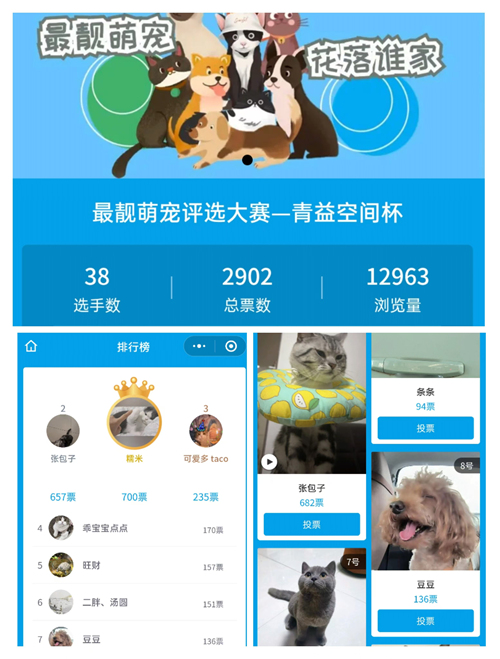 线上评选截图汇总_副本.jpg